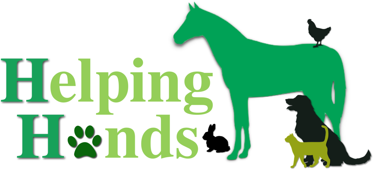 Clip Art - Png Download (1200x543), Png Download