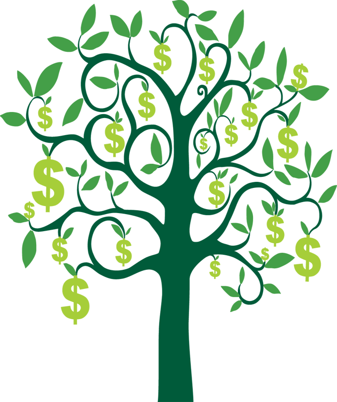 Money Tree - Peach Tree Clipart - Png Download (670x800), Png Download