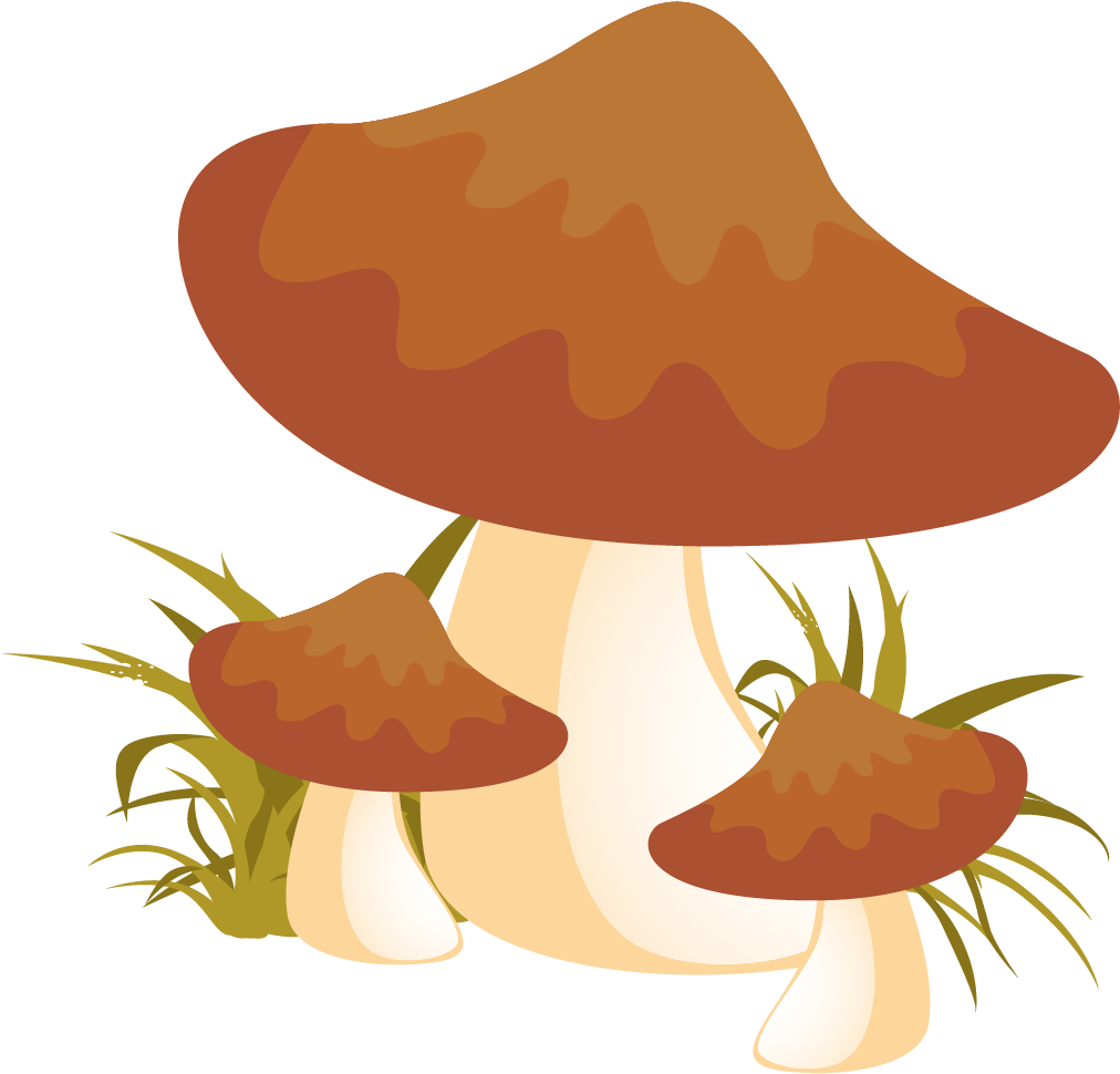 Autumn Mushroom Png Png Clipart (1230x1241), Png Download