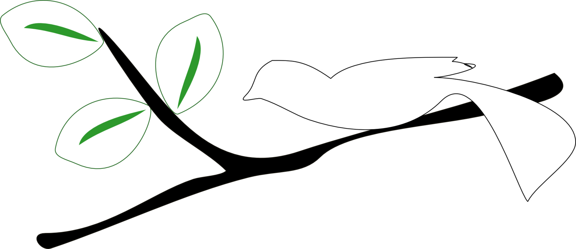 Acorn Clipart Correlation - Black And White Clipart Of A Branch - Png Download (999x433), Png Download