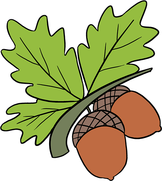 How To Draw Acorns - Acorns Drawing Clipart (680x678), Png Download