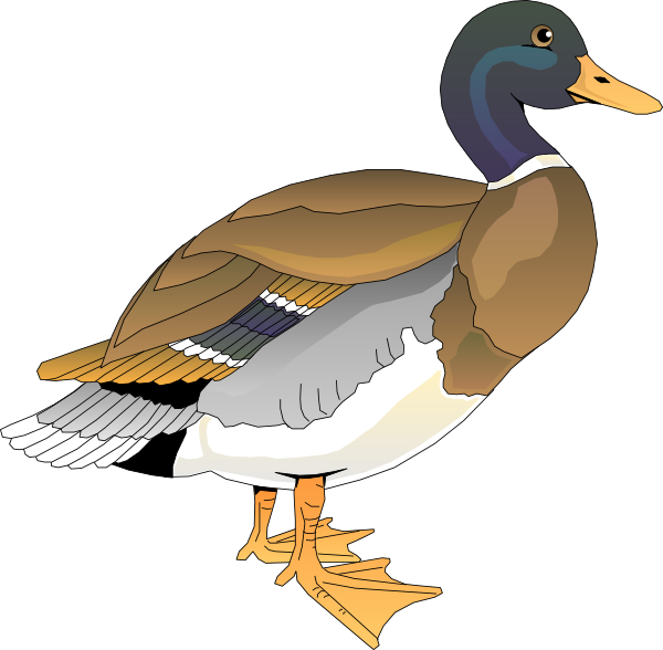Walking Ducks Birds Clipart Svg Black And White Download - Free Clipart Duck - Png Download (600x588), Png Download