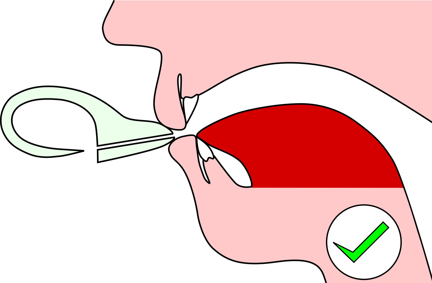 Ears Clipart Attentiveness - Blow Ocarina - Png Download (1493x979), Png Download