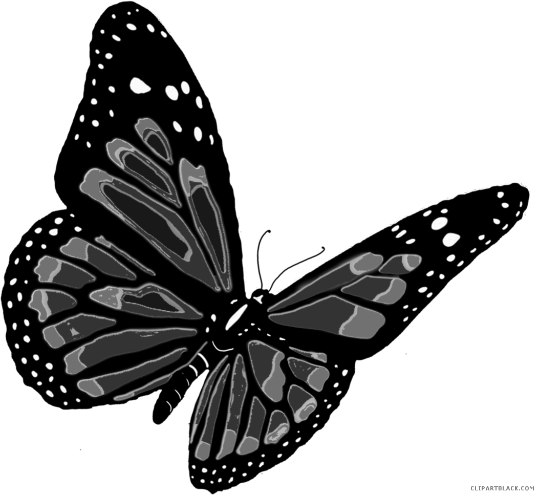 Flying Butterfly Animal Free Black White Clipart Images - Flying Butterfly Purple Png Transparent Png (1053x967), Png Download