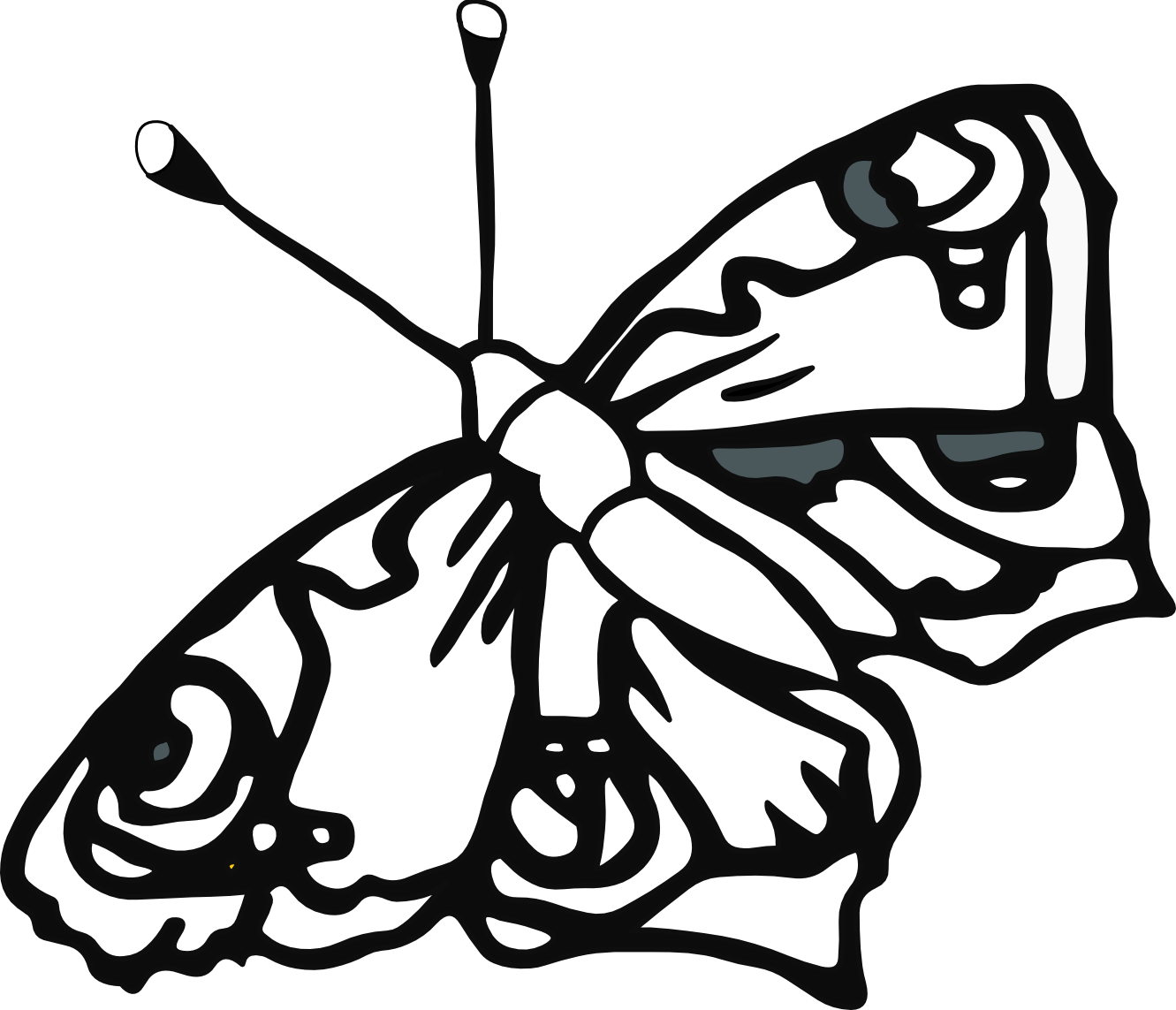 Butterfly 58 Black White Line Art Tatoo Tattoo Svg - Butterfly Coloring Pages Png Clipart (1331x1143), Png Download