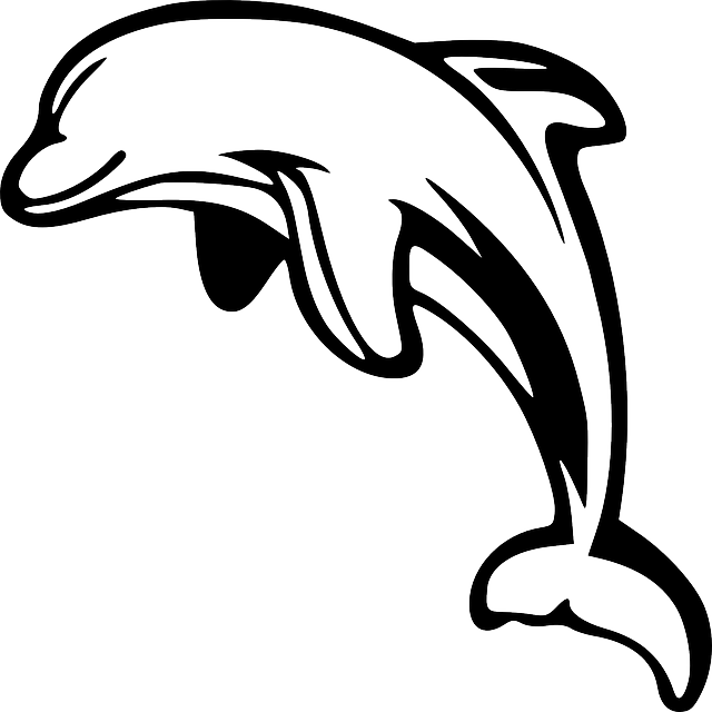 Download Hd Dolphin Clipart Black And White Dolphin - Dolphin Clipart Black And White - Png Download (640x640), Png Download