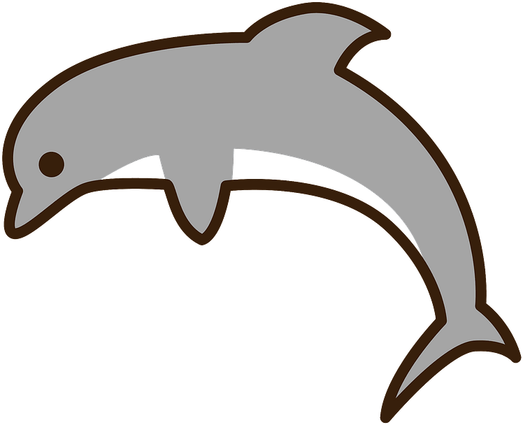 Dolphin Clipart - Png Download (800x672), Png Download
