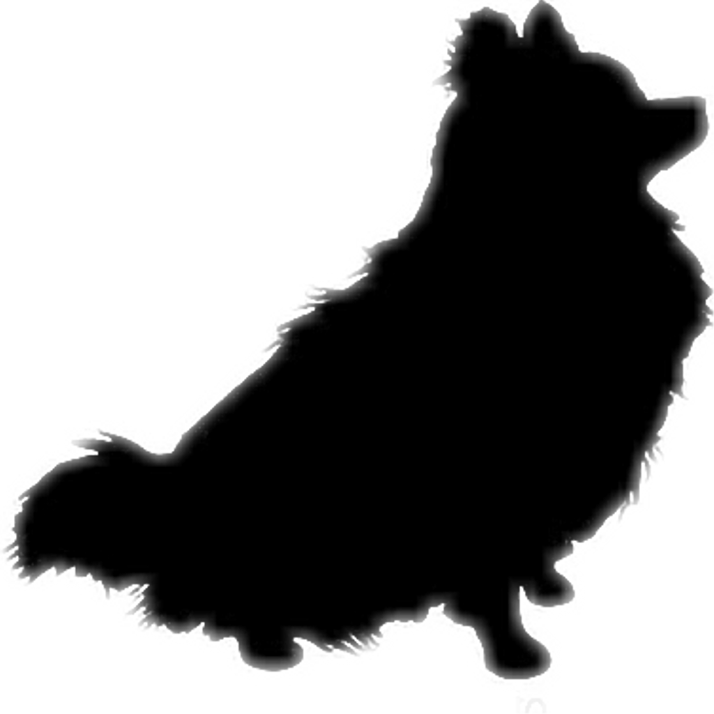 Pomeranian Dog Clipart Clipart Pomeranian Silhouette - Transparent Pomeranian Clipart - Png Download (1024x1024), Png Download