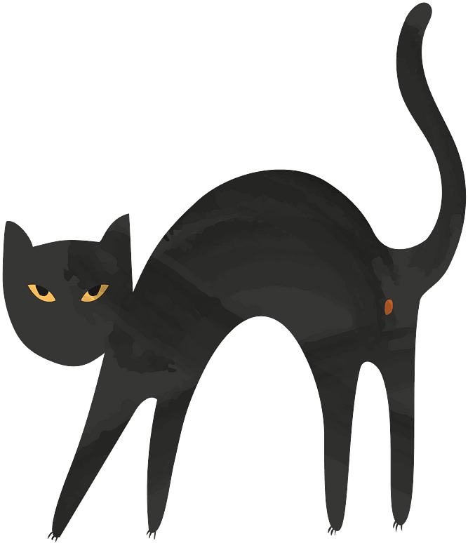 Black Cat Clipart - Black Cat - Png Download (682x800), Png Download