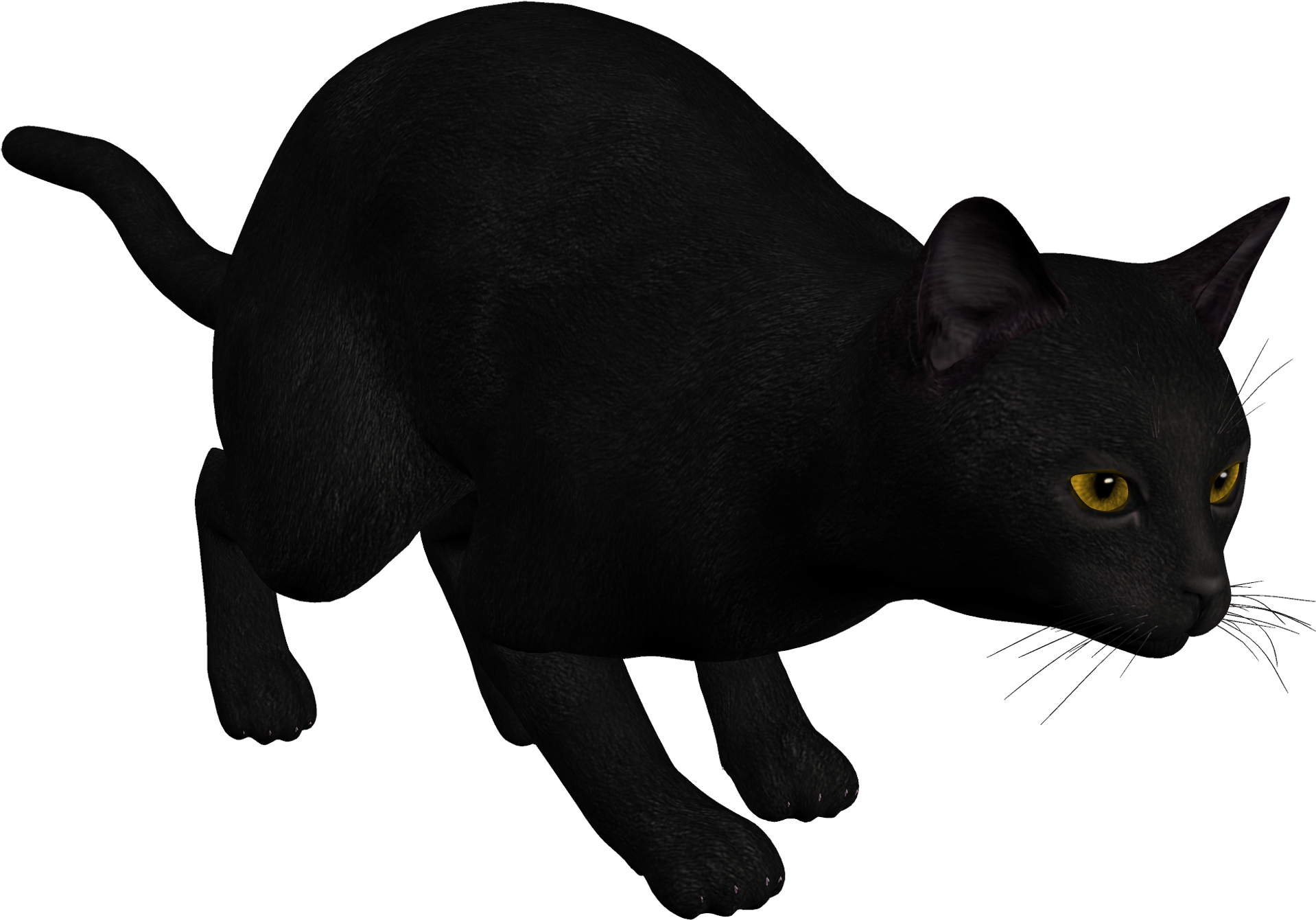 Clipart Black Cat Picture Transparent Stock Cat Black - Cat Pouncing Transparent - Png Download (2000x1402), Png Download