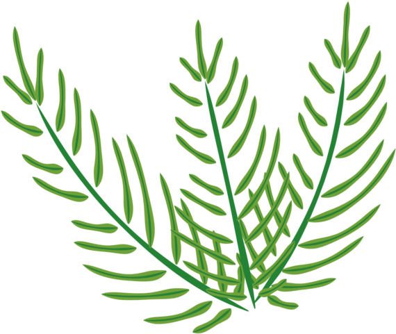 Transparent Easter Palm Sunday Easter Palm Plant Flora Clipart (600x600), Png Download