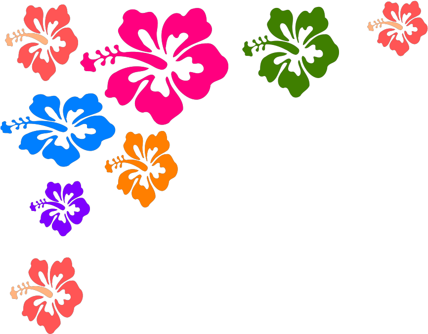Colour Flower Line Art Clipart (1024x1024), Png Download