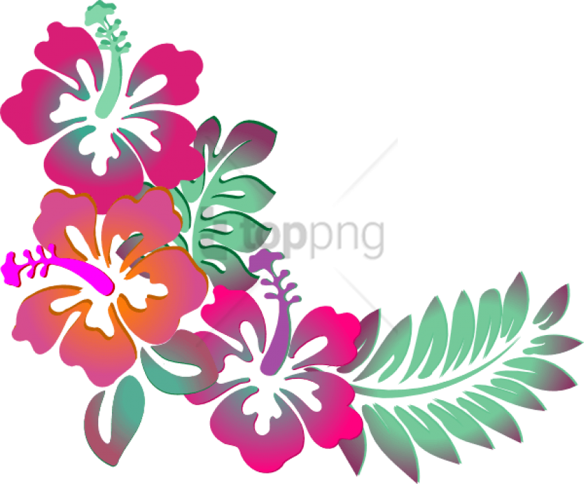 Free Png Colorful Floral Corner Borders Png Png Image - Hibiscus Clip Art Transparent Png (850x705), Png Download
