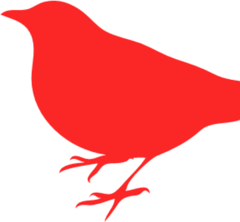 Kill A Mockingbird Bird Clipart (1024x1024), Png Download