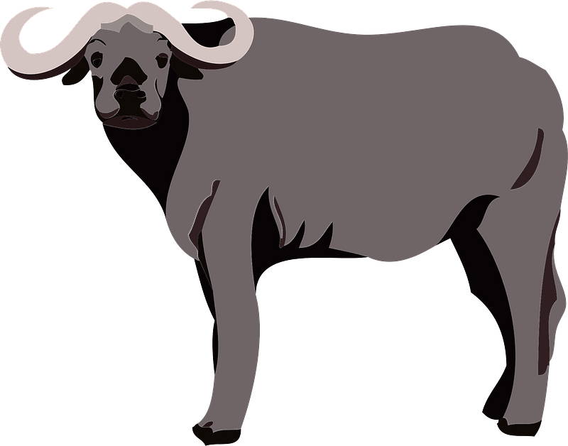 Water Buffalo Clipart Bull Png Download Full Size Clipart 5230338 Pinclipart