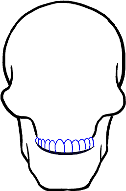 Skull Line Art - نقاشی جمجمه با مداد Clipart (678x600), Png Download