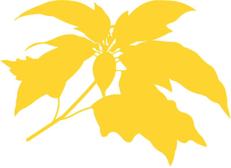 Illustration Clipart (800x582), Png Download