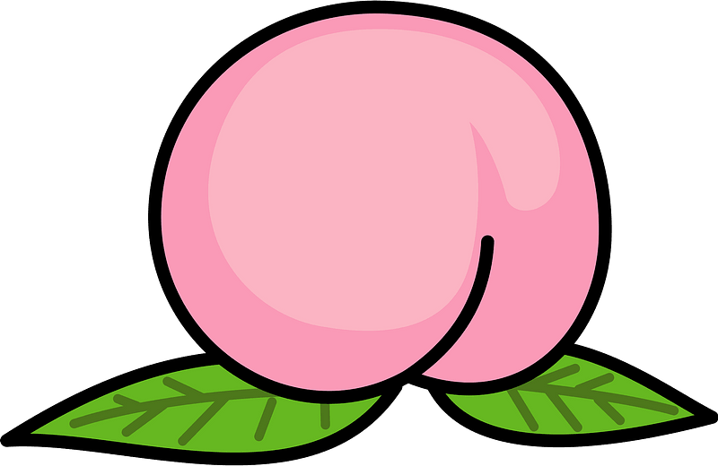 Fruits Peach Food Clipart - Png Download (800x520), Png Download