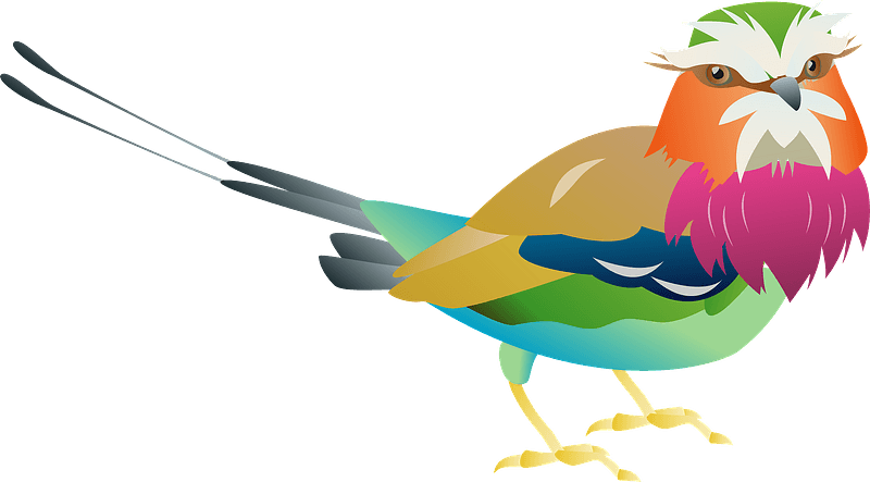 Lilac Breasted Roller Bird Clipart - Lilac-breasted Roller - Png Download (800x443), Png Download