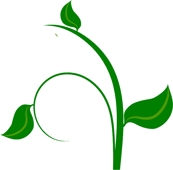 Transparent Vines Clipart - Clipart Green Leaf Png (600x590), Png Download