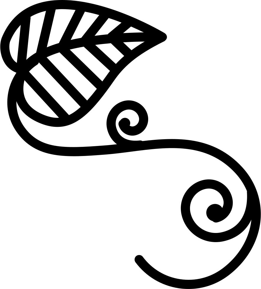 Vines Clipart Outline - Vines Icon - Png Download (886x980), Png Download