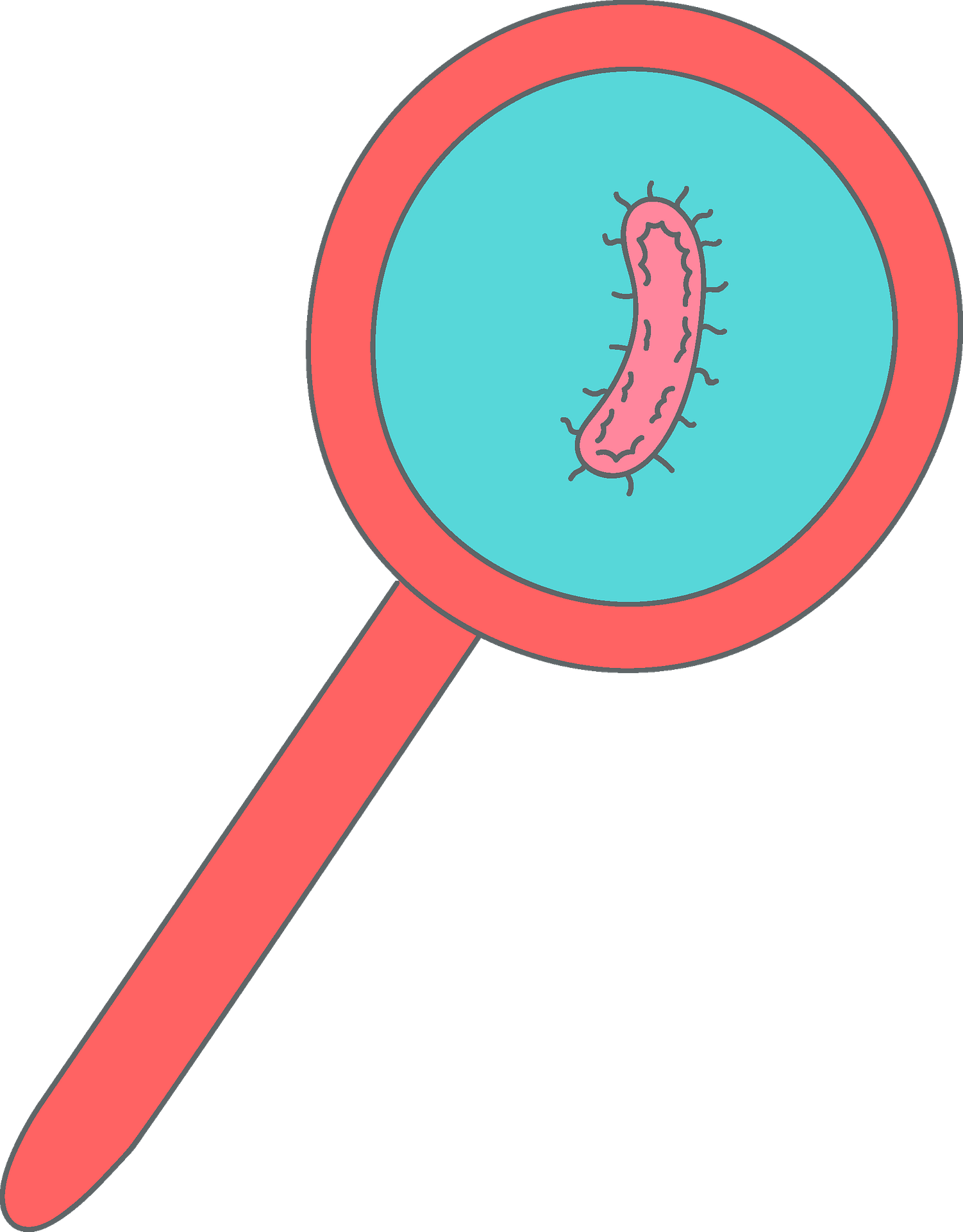 Bacteria In A Magnifying Glass Clipart - Bacteria Clipart - Png Download (626x800), Png Download