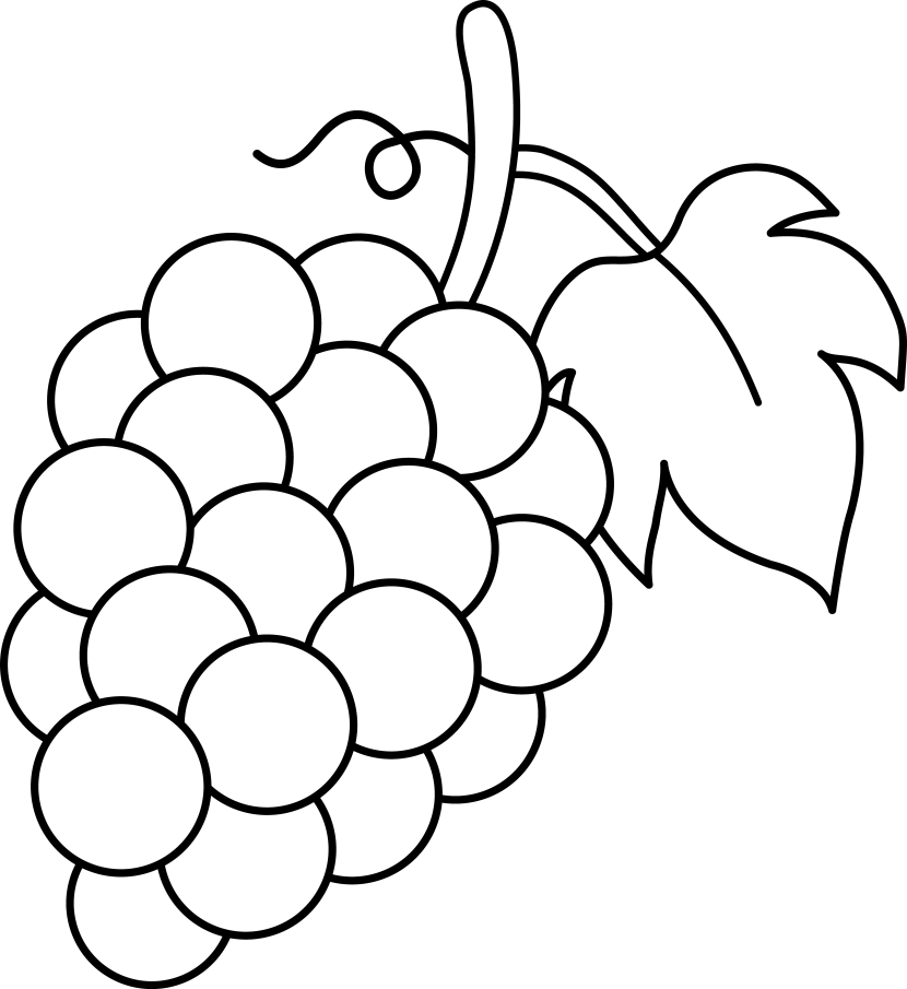 Free Images At Clker - Grapes Coloring Page Clipart (550x600), Png Download