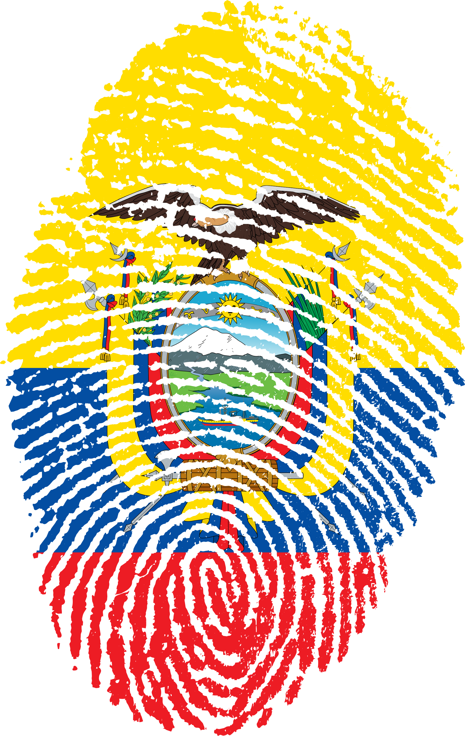 Colombia Flag Fingerprint Png Clipart (1573x2488), Png Download