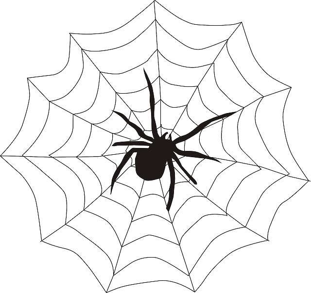 Spider In A Web Clipart - Png Download (640x604), Png Download