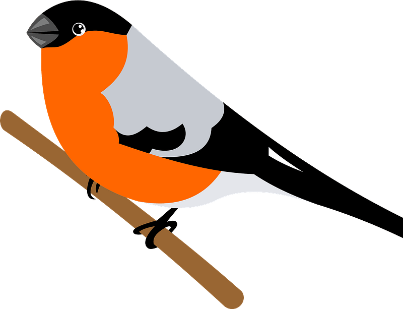 Bullfinch Bird Clipart - European Swallow - Png Download (800x613), Png Download