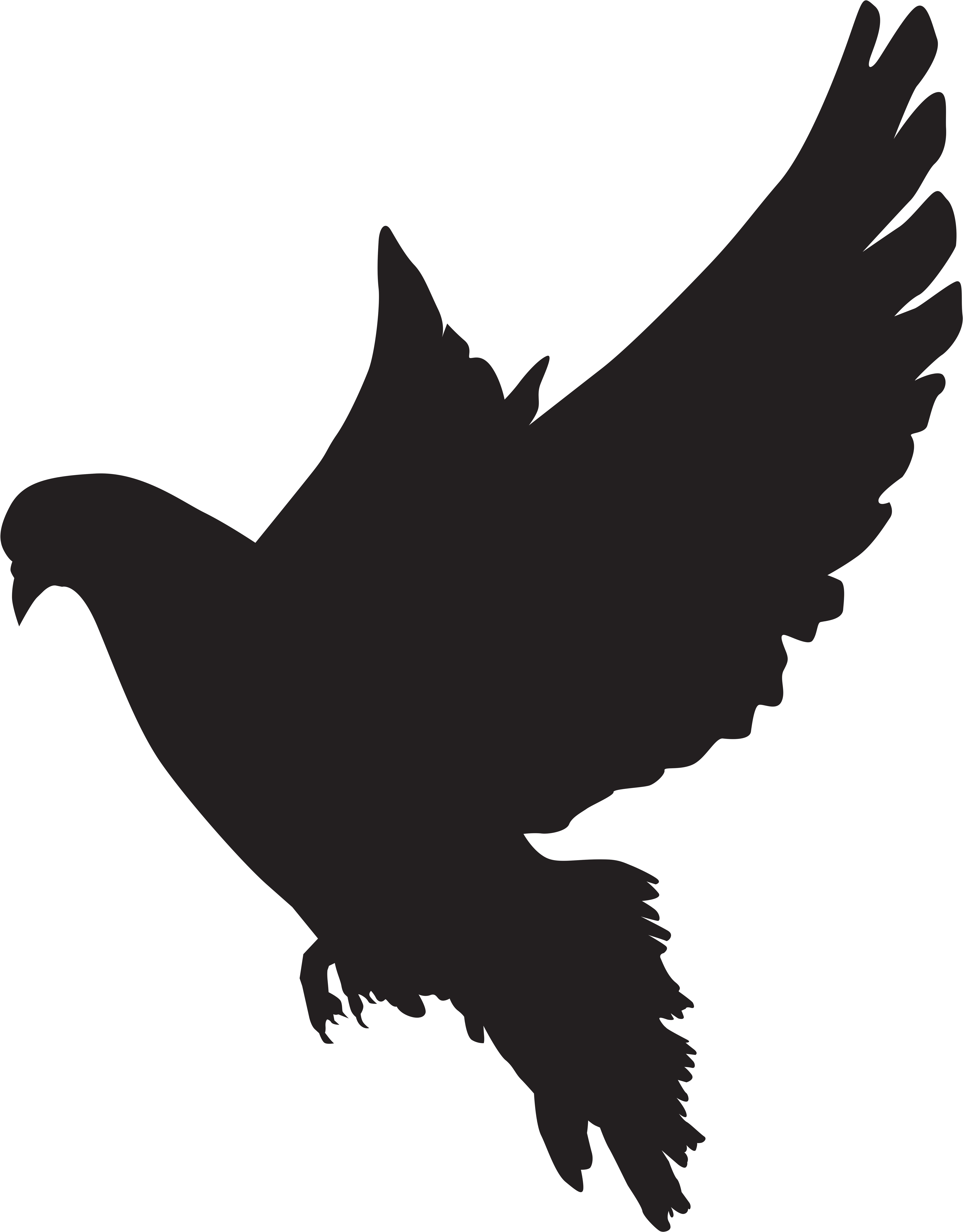 Columbidae Silhouette Dove Clip Art - Png Download (6510x8000), Png Download