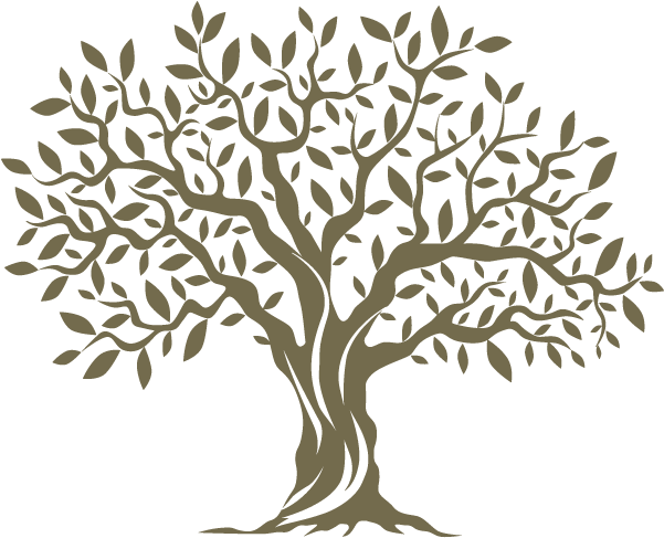 Tree Vector Black And White Clipart (600x600), Png Download