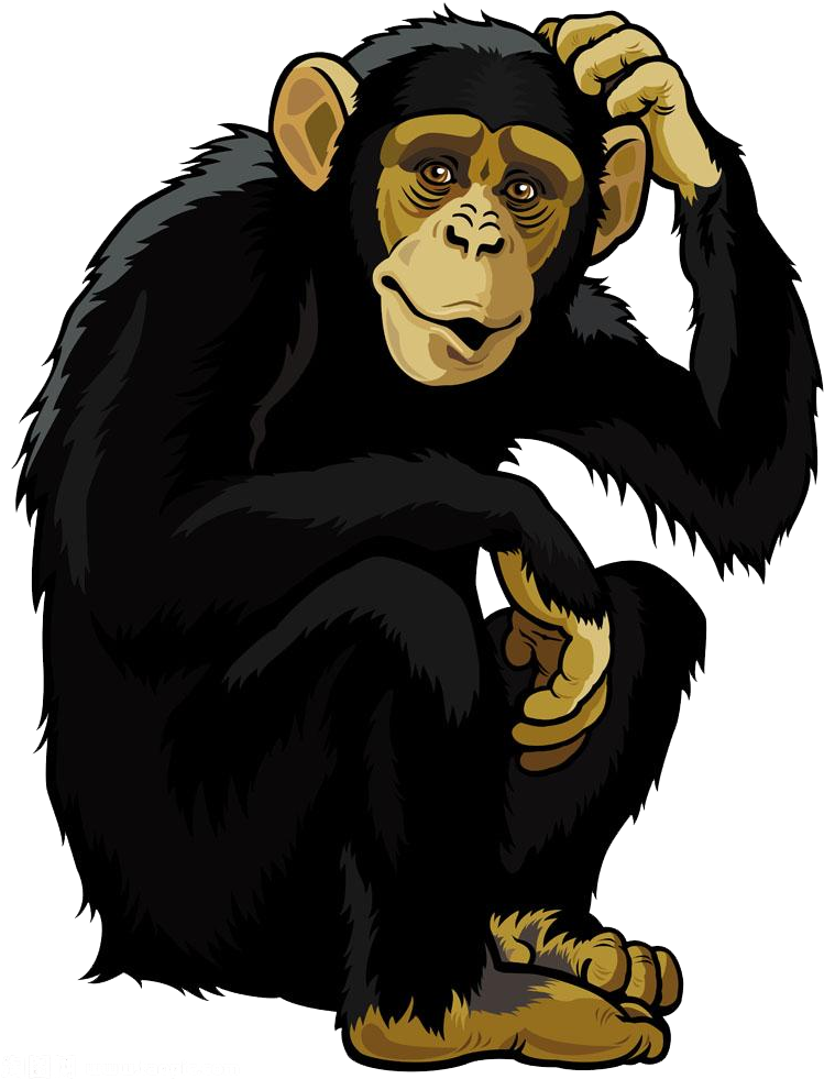 Orangutan Monkey Chimpanzee Clip Art - Chimpanzee Clipart - Png Download (749x981), Png Download