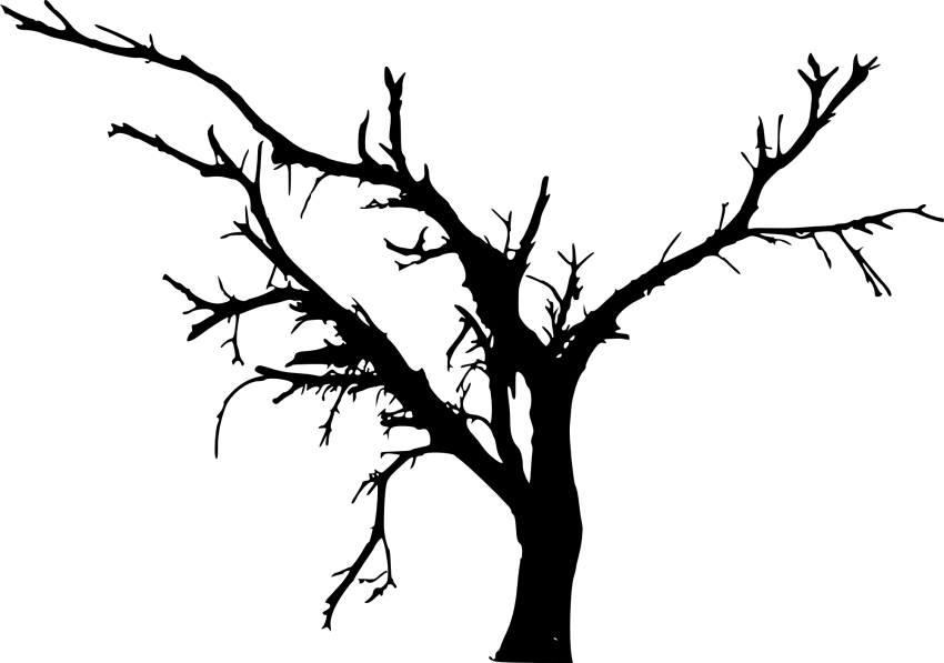 Tree Png Download - Tree Silhouette Vector Png Clipart (850x597), Png Download