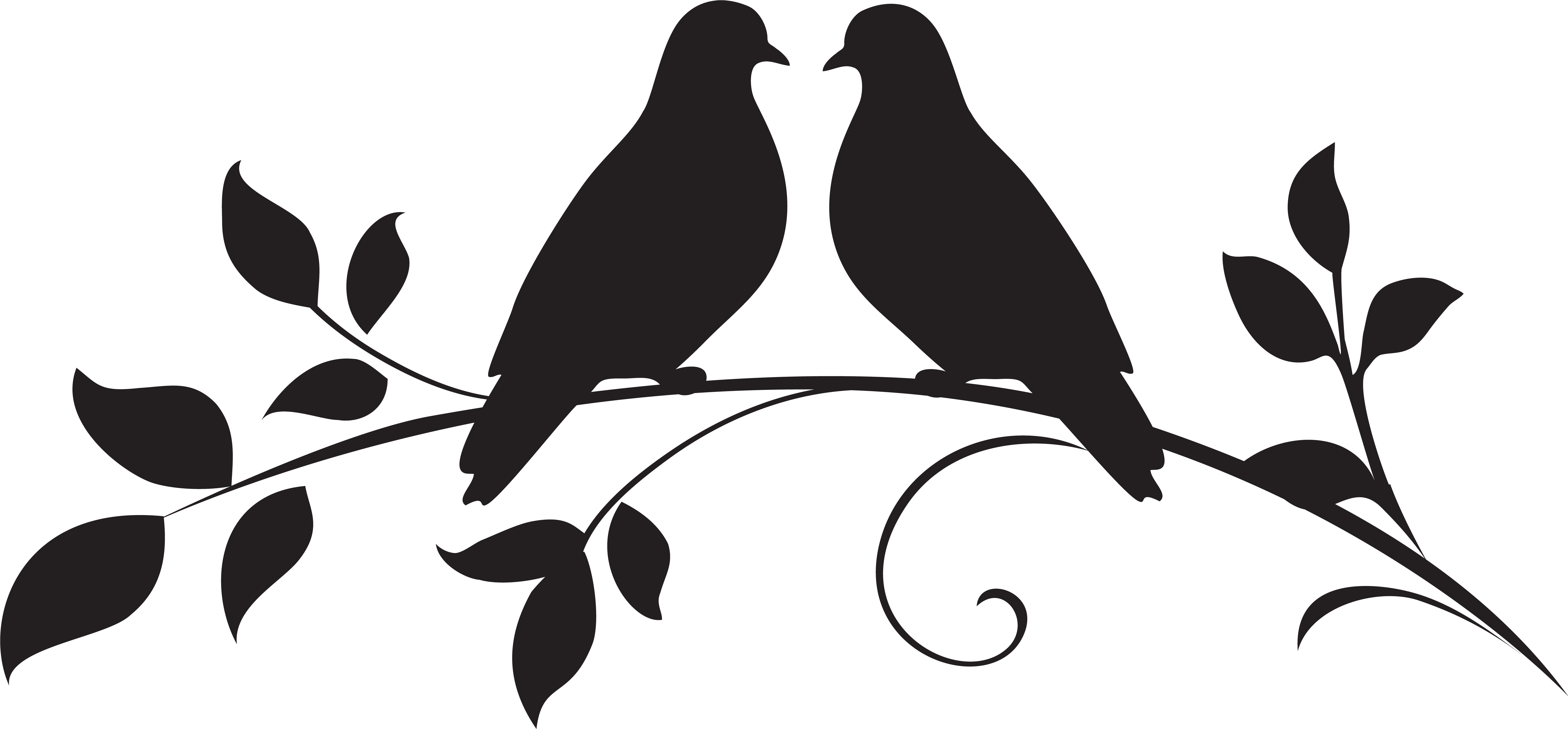 Dove Png Clipart Silhouette - Love Birds Clipart Black And White Transparent Png (8000x3826), Png Download