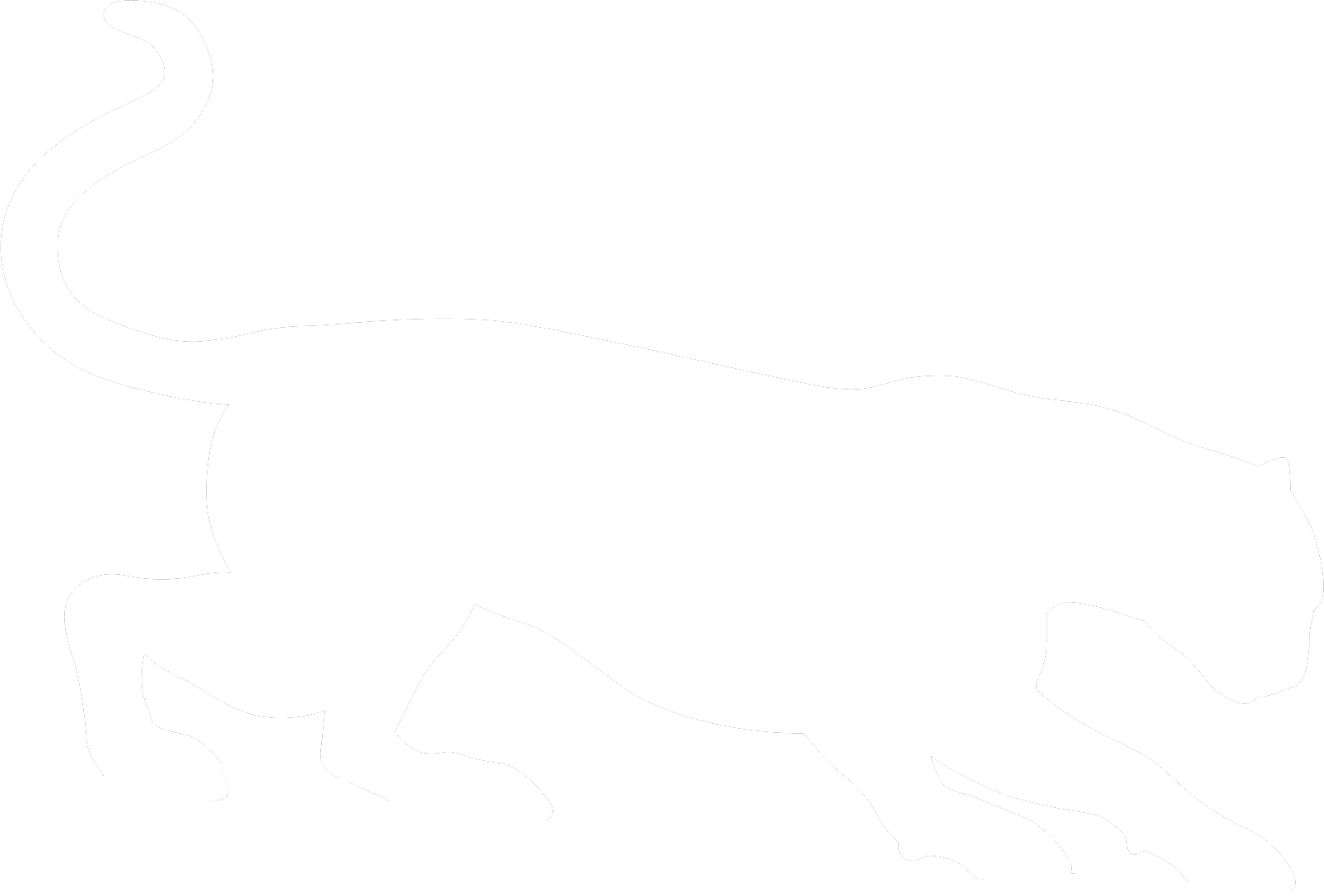 Transparent Cougars Clipart - Cougar Silhouette White - Png Download (1608x1088), Png Download