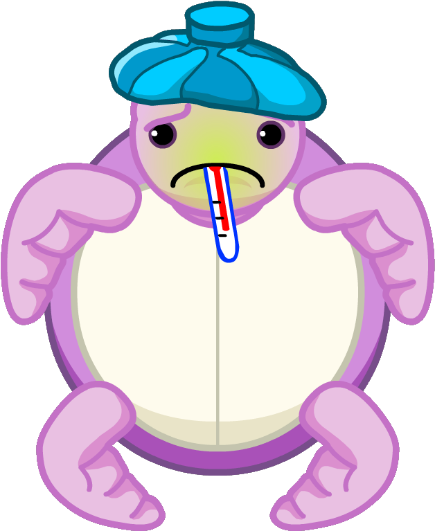 Fileblossom Sea Turtle Sick - Webkinz Blossom Sea Turtle Clipart (670x792), Png Download