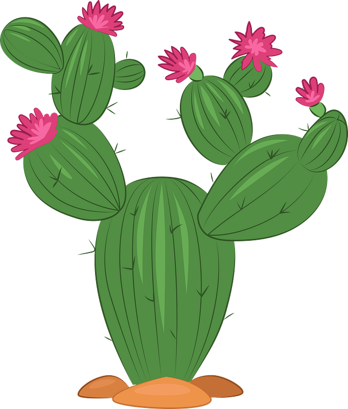 Cactus Clipart Hedgehog Cactus Png Download Full Size Clipart 5235054 Pinclipart