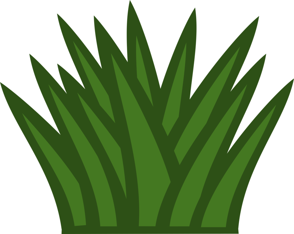 Cactus - Grass Clipart Black And White Png Transparent Png (800x635), Png Download