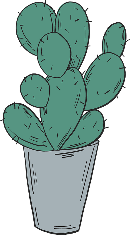 Cactus In A Pot Clipart - Eastern Prickly Pear - Png Download (444x800), Png Download