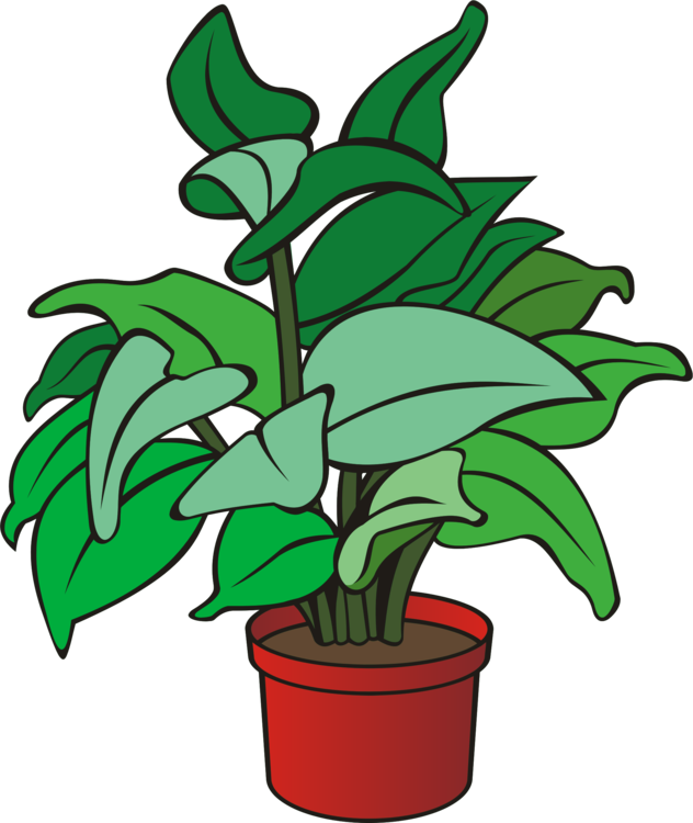 Gardening Plant Flower Leaf Clipart - Clipart Of A Plant - Png Download (600x712), Png Download