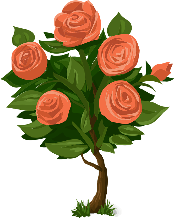 Plant Clipart Potted Plant - Rose Bush Clipart - Png Download (600x753), Png Download