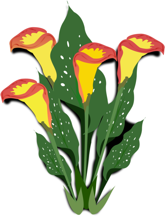Plant,flora,leaf - Ornamental Plants Clip Art - Png Download (750x750), Png Download