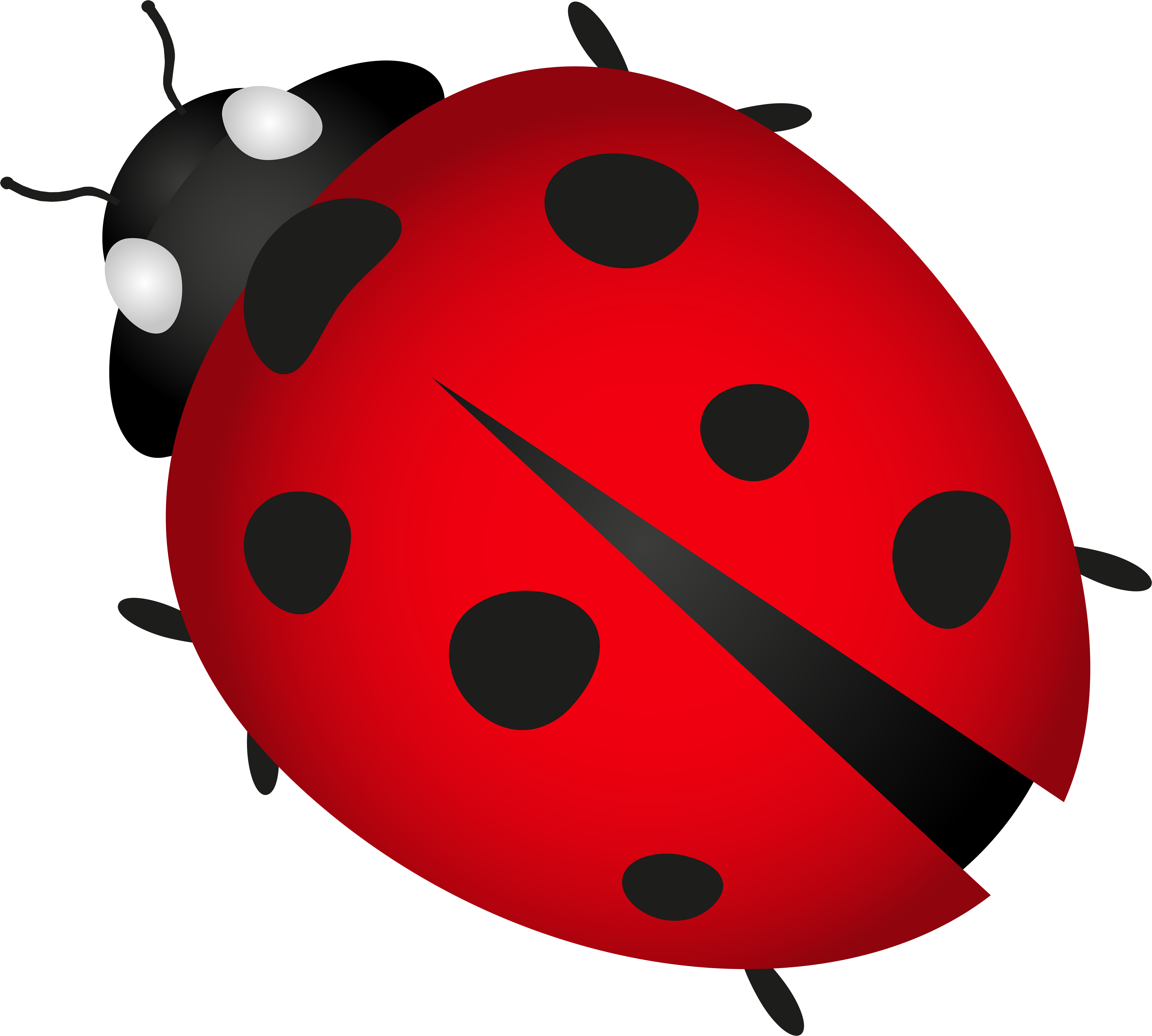 Lady Bug Transparent Png Clip Art Image - Clip Art Transparent Lady Bug (6000x5653), Png Download