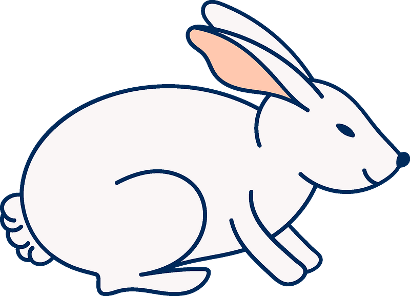 Easter Bunny Clipart - Cartoon - Png Download (800x577), Png Download