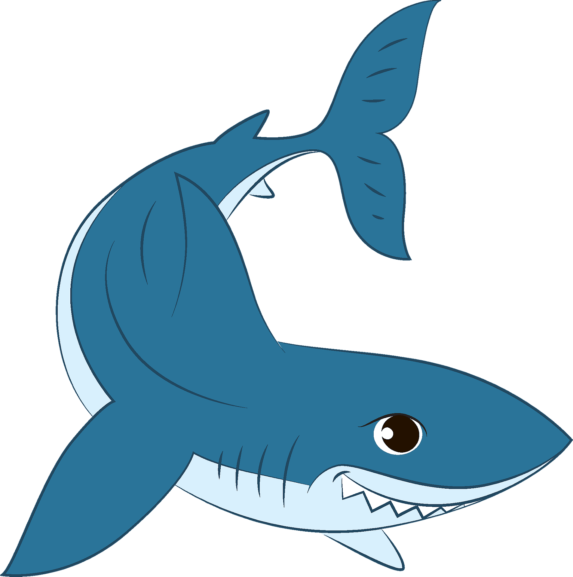 Shark Clipart Great White Shark Png Download Full Size Clipart