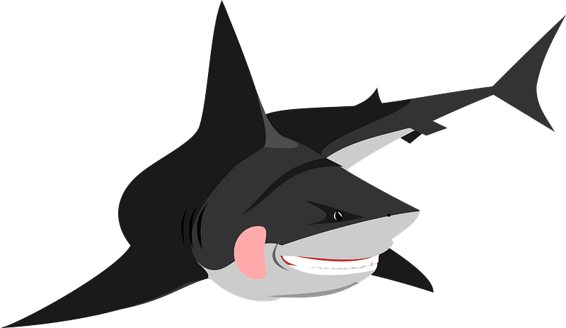 Friendly Shark Clipart - Great White Shark Pic Icons - Png Download (800x463), Png Download