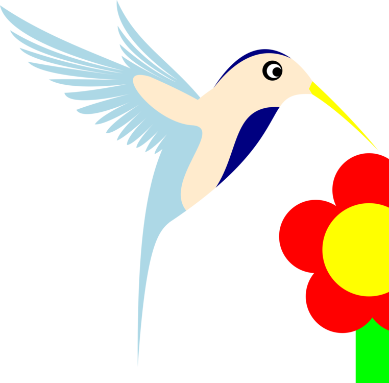 Bird Of Prey Clipart Hummingbird - Bird - Png Download (762x750), Png Download