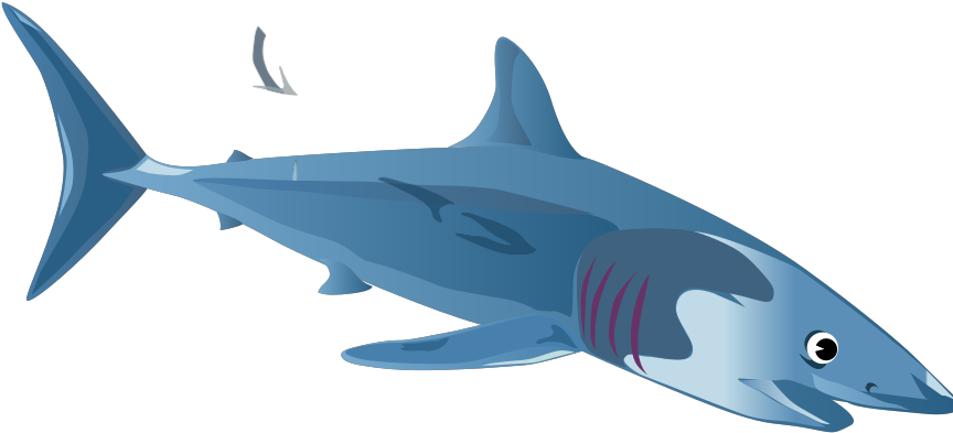 Blue Shark Svg Clip Arts - 2 Shark Clipart - Png Download (1024x1024), Png Download