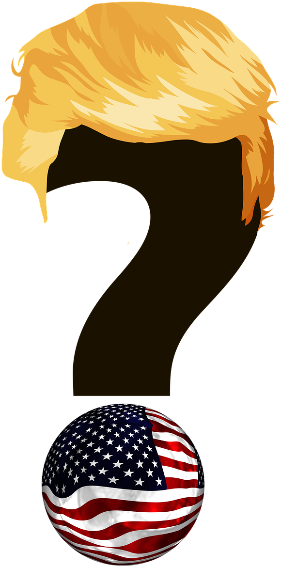 Donald Trump With A Question Mark Clipart (632x1280), Png Download